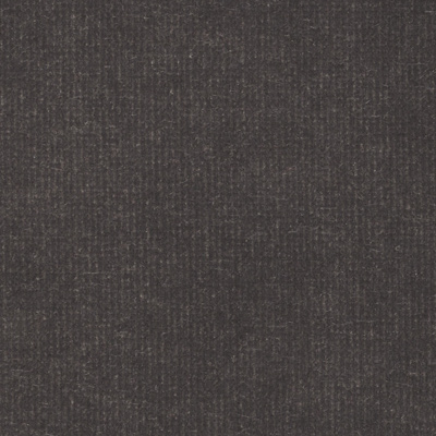 Begoniacharcoal